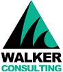 walker consulting