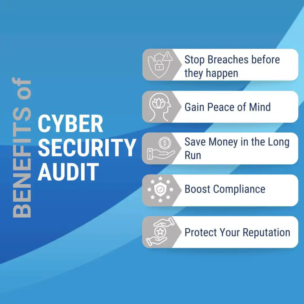 Cyber security audit